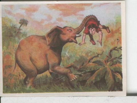 Cromos: Aventuras de Jorge, el Pequeño Tarzan, autor Gigarpe numero 009