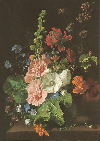 Postal 50797: JAN VAN HUYSUM - Hollyhocks and other Flowers