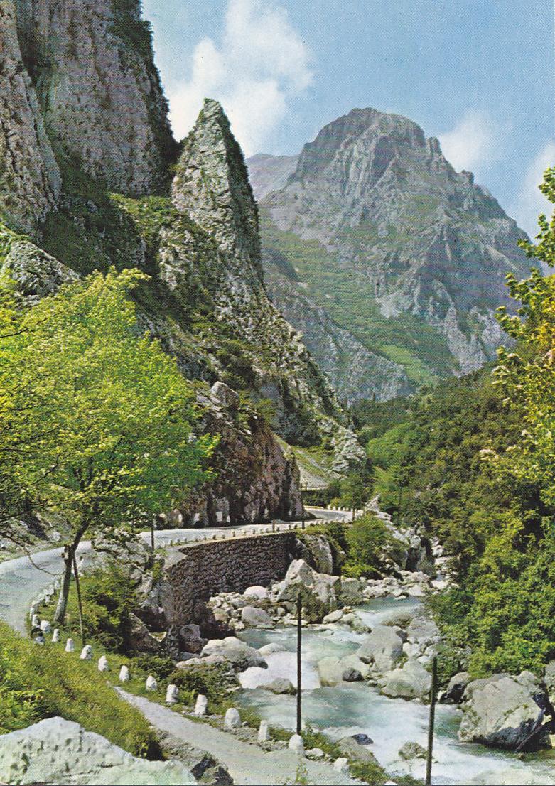 Postal 61245 : Picos de Europa. Desfiladero de la Hermida