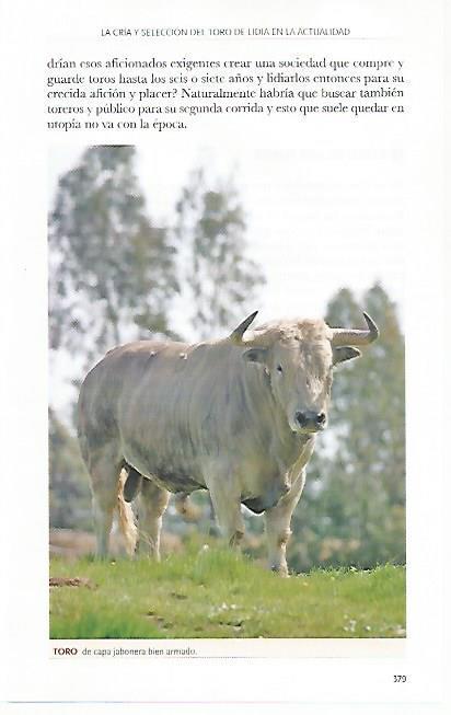 LAMINA COSSIO 50821: Toro de capa jabonera