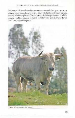 LAMINA COSSIO 50821: Toro de capa jabonera