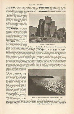 LAMINA ESPASA 6390: Castillo de Talmont Francia