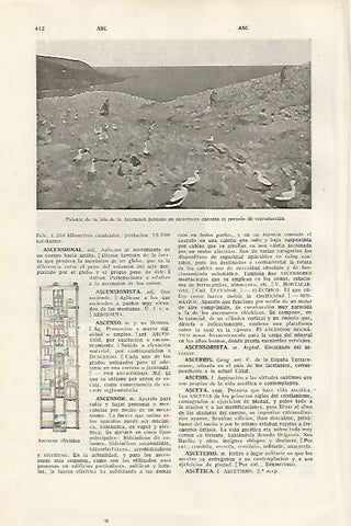 LAMINA SALVAT 80228: Isla de la Ascension