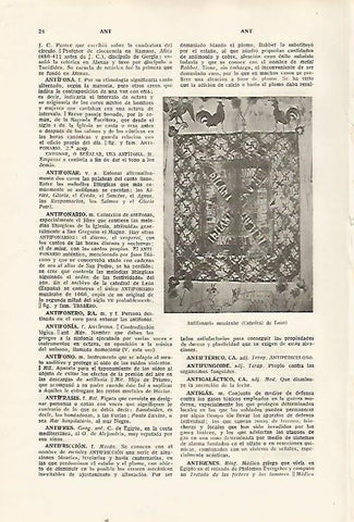 LAMINA SALVAT 80232: Antifonario mozarabe de la Catedral de Leon
