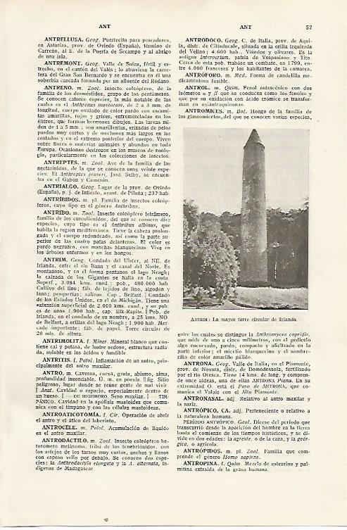 LAMINA SALVAT 80239: Antrim (Irlanda)