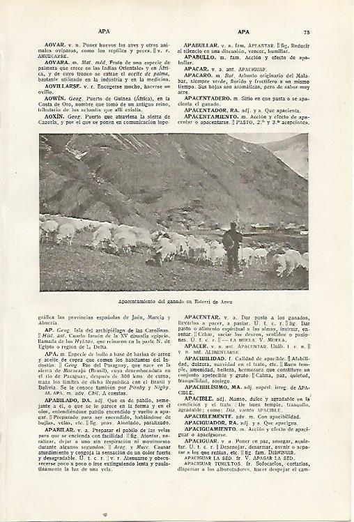 LAMINA SALVAT 80242: Pastor en Esterri de Aneu