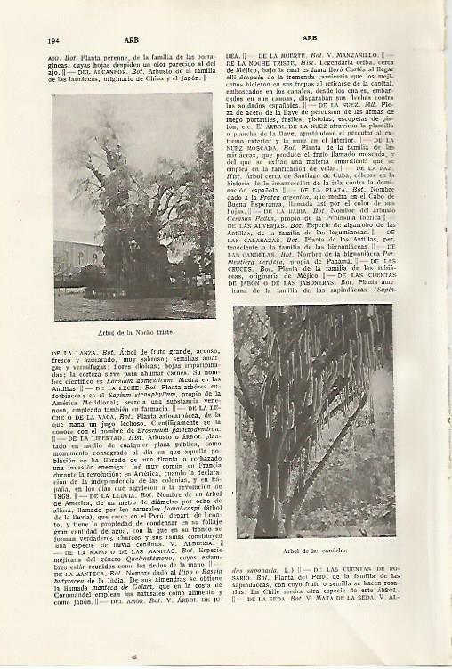 LAMINA SALVAT 80277: Arbol de la Noche triste y arbol de las candelas