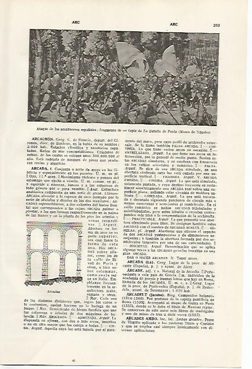 LAMINA SALVAT 80281: Tapiz de la Batalla de Pavia