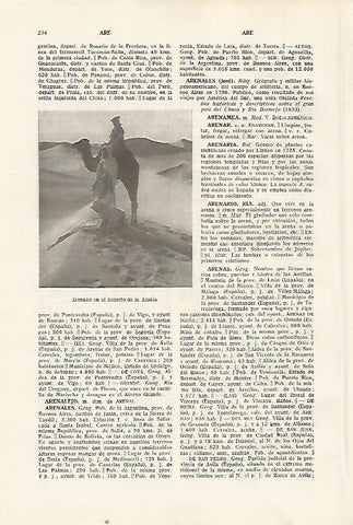 LAMINA SALVAT 80291: Desierto de Arabia