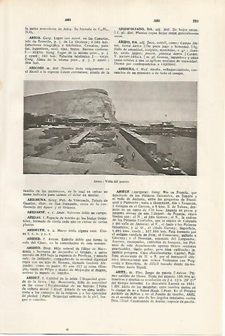 LAMINA SALVAT 80308: Puerto de Arica