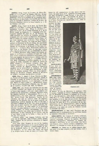 LAMINA SALVAT 80309: Guerrero ario