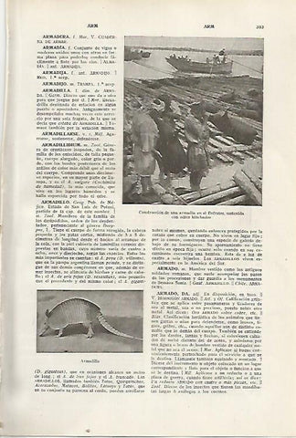 LAMINA SALVAT 80314: Construcicon de una armadia en el Eufrates