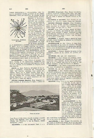 LAMINA SALVAT 80344:Vista de Ascope (Peru)