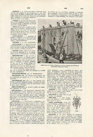 LAMINA SALVAT 80345: Asedio de un castillo