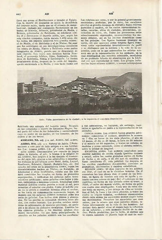 LAMINA SALVAT 80352: Vista de Asis