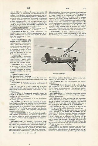 LAMINA SALVAT 80391: Autogiro La Cierva