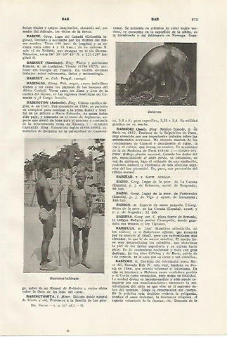 LAMINA SALVAT 80419: Guerreros Babingas