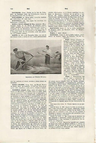 LAMINA SALVAT 80438: Segadores por D. Baixeras