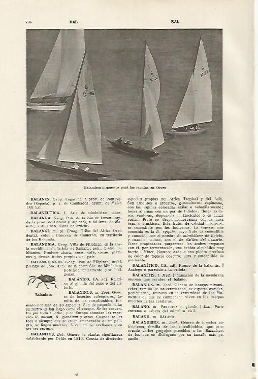 LAMINA SALVAT 80442: Regatas de Cowes