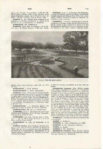 LAMINA SALVAT 80457: Jardin publico de Bamaku