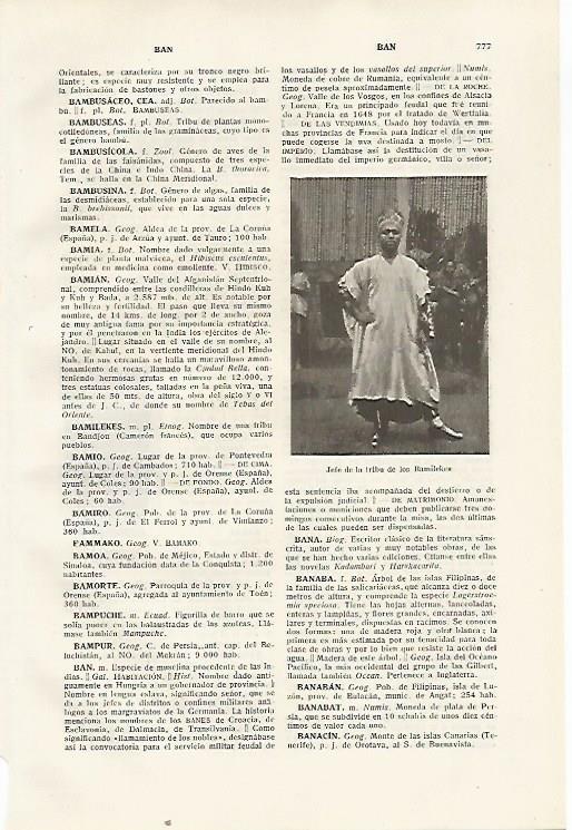 LAMINA SALVAT 80458: Jefe de la tribu de los Bamilekes