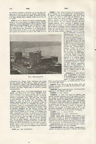 LAMINA SALVAT 80487: Castillo de Bari