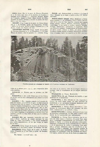 LAMINA SALVAT 80500: Basalto en el parque nacional de California