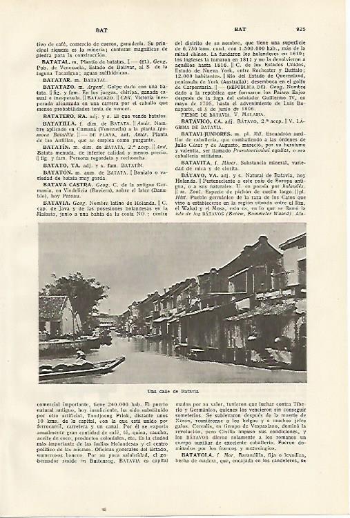 LAMINA SALVAT 80511: Calle en Batavia (Holanda)