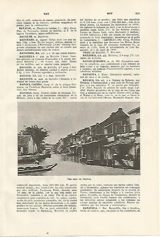 LAMINA SALVAT 80511: Calle en Batavia (Holanda)