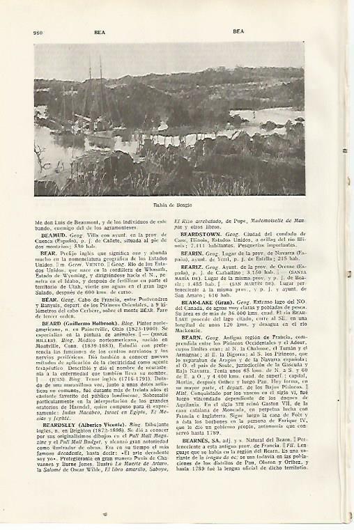 LAMINA SALVAT 80525: Bahia de Beagle