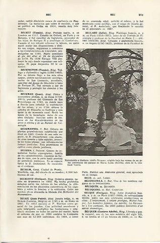LAMINA SALVAT 80527: Monumento a Becquer en Sevilla