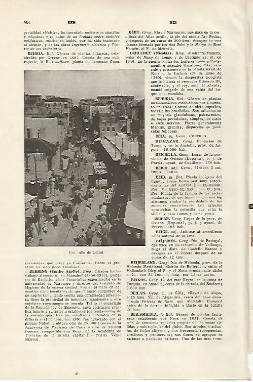 LAMINA SALVAT 80530: Calle de Beirut