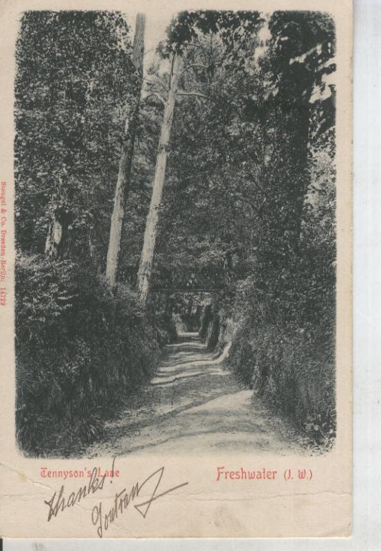 Postal 011317: Freshwater (J.W) - Tennyson Lane