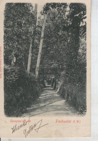 Postal 011317: Freshwater (J.W) - Tennyson Lane