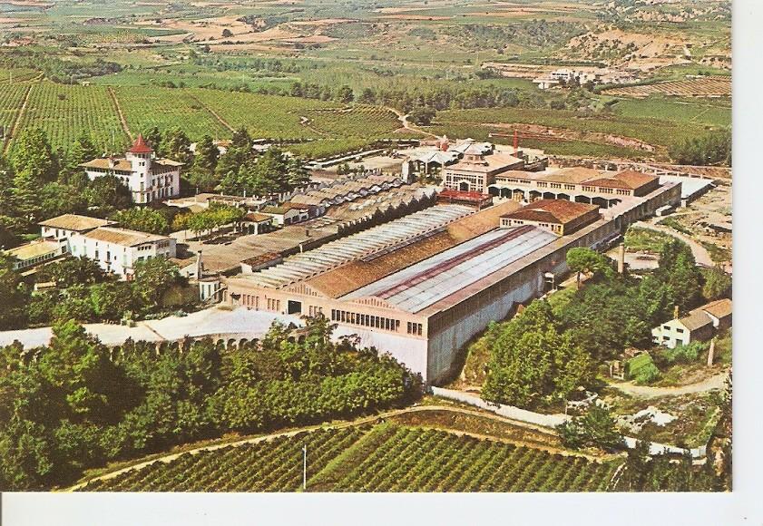 Postal 039843 : Cavas Codorniu. Exteriores