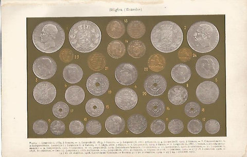 LAMINA ESPASA 9887: Monedas de Belgica