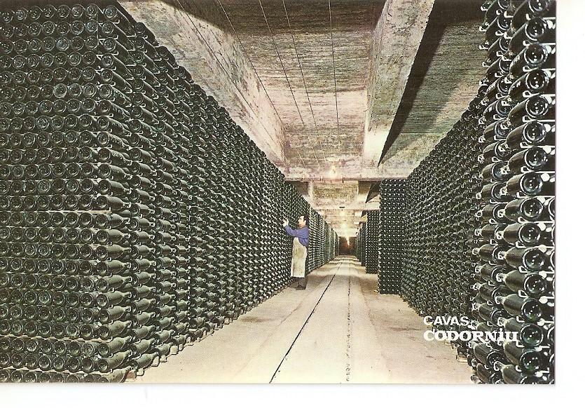Postal 043195 : Cavas Codorniu. Botellas envejeciendo