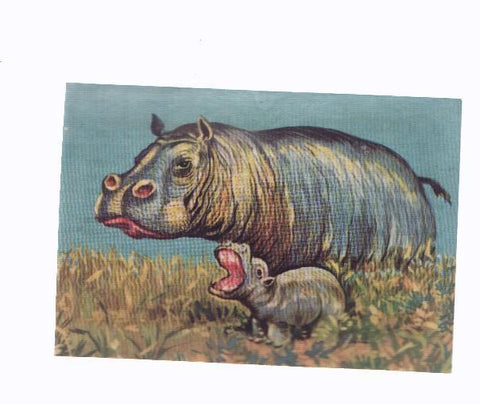 Cromos: de la Selva Misteriosa a los abismos del mar: numero 121: Ternura en la jungla