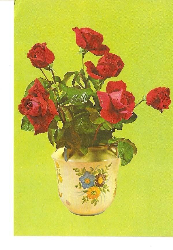 Postal 024473 : Rosas