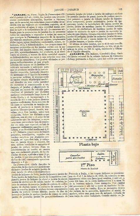LAMINA ESPASA 9235: Planta de Jarabub Libia
