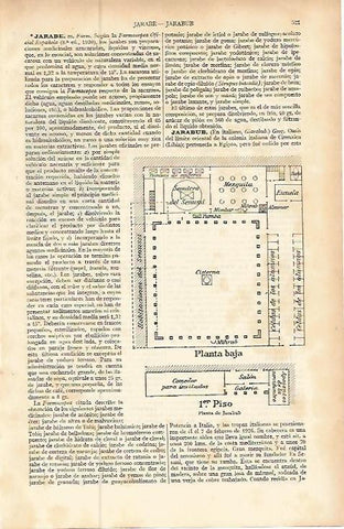 LAMINA ESPASA 9235: Planta de Jarabub Libia