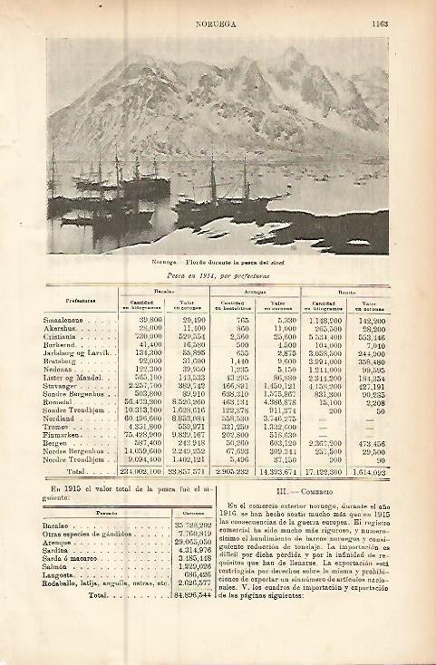 LAMINA ESPASA 9566: Fiordo en Noruega