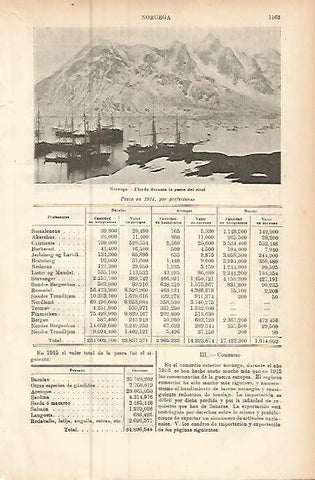 LAMINA ESPASA 9566: Fiordo en Noruega