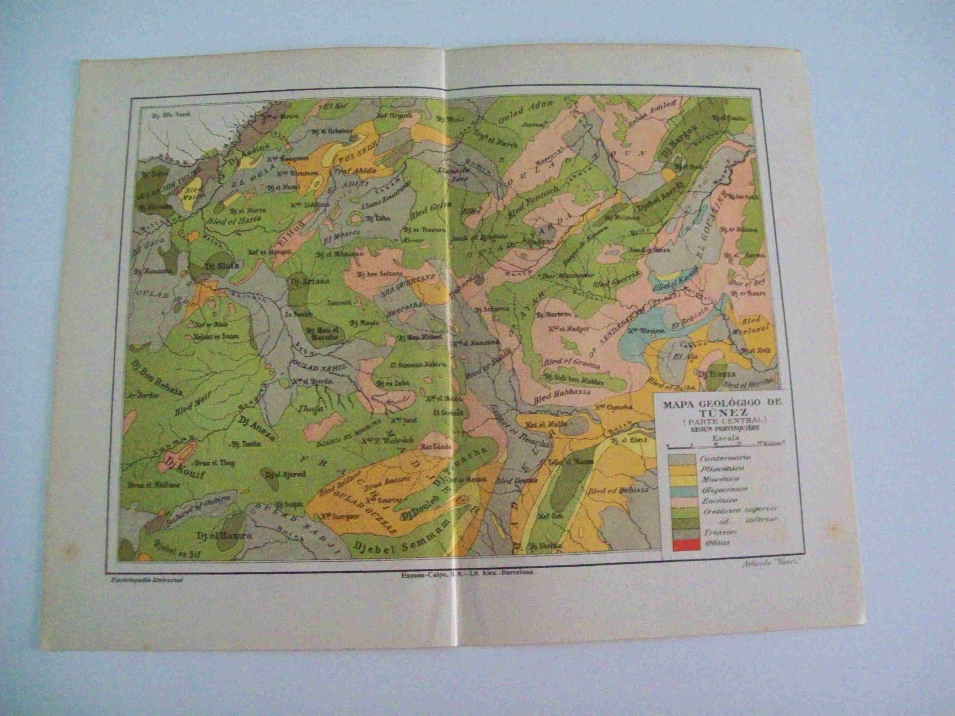 LAMINA ESPASA 11960: Mapa geologico de Tunez