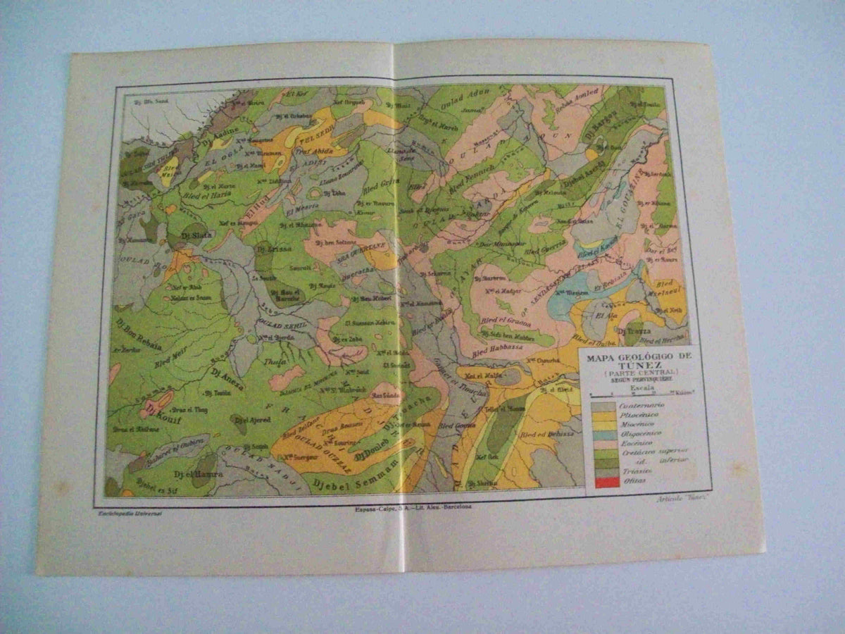 LAMINA ESPASA 11960: Mapa geologico de Tunez