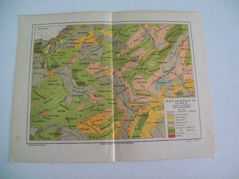 LAMINA ESPASA 11960: Mapa geologico de Tunez