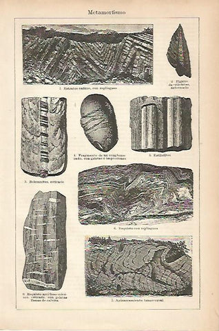 LAMINA ESPASA 17887: Metamorfismo