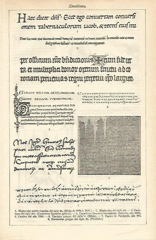 LAMINA ESPASA 16614: Caligrafias 