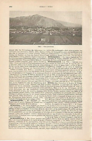LAMINA ESPASA 19617: Vista de Schio Italia