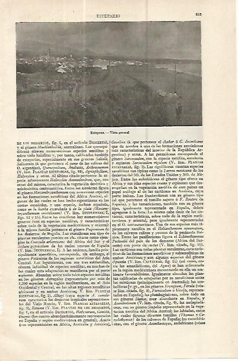 LAMINA ESPASA 16372: Vista de Estepona Vizcaya